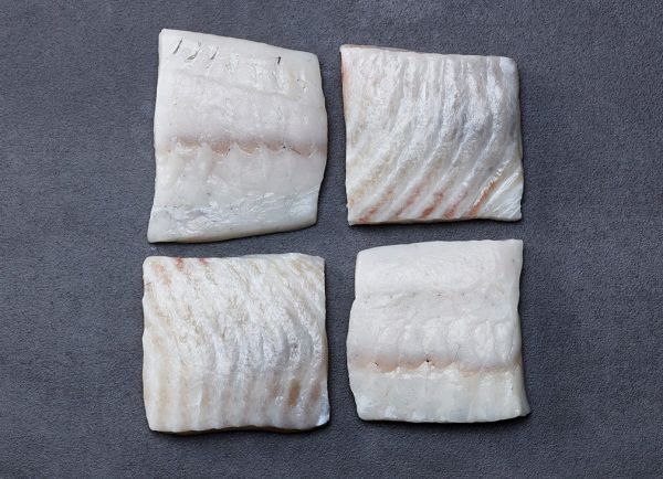 Fresh turbot filet